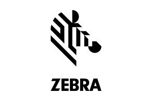 Zebra Belt